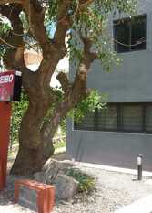 Foto 3 de la galería de Dúplex El Ceibo en Villa Carlos Paz