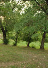 Foto 3 de la galería de Posada Boa Vida en Villa Carlos Paz
