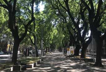 Foto 1 de la galería de Chacabuco 63 en Ciudad De Mendoza