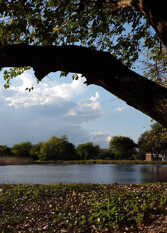 Foto 2 de la galería de Las Estufas o Remanso del Sol en Ciudad De Salta