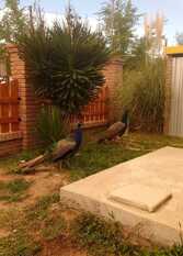 Foto 3 de la galería de La Casita Amarilla de Mina en Mina Clavero