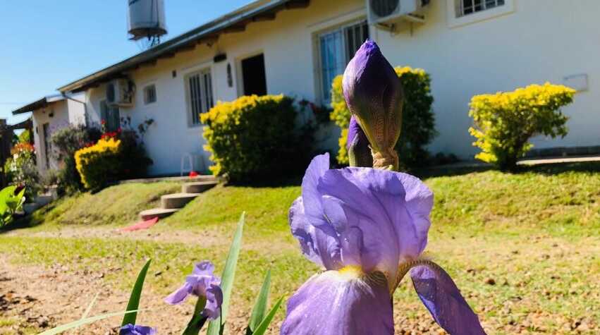 Foto principal de Dulce Atardecer Bungalows en San José
