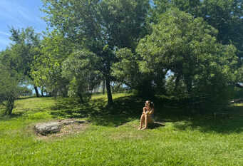 Foto 1 de la galería de Apart La Sole - La Fiore en Tanti