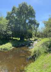 Foto 3 de la galería de Apart La Sole - La Fiore en Tanti