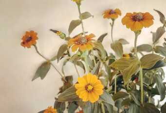 Foto 1 de la galería de Hospedaje Finca La Encantada en Seclantas