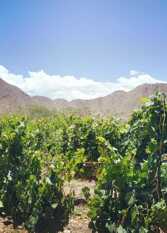 Foto 3 de la galería de Hospedaje Finca La Encantada en Seclantas