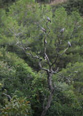 Foto 4 de La Aldea Serrana en La Falda