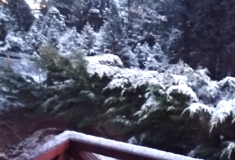 Foto 1 de la galería de Casa ¨El pinar¨ en San Carlos De Bariloche