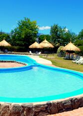 Foto 2 de la galería de Pachanavira Cabañas & Suites en Nono