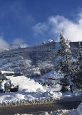 Foto 3 de la galería de Posada Aurelio en San Carlos De Bariloche