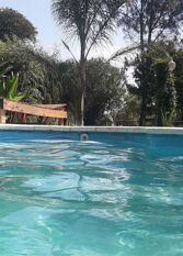 Foto 3 de la galería de Duplex Las Moras en Trenque Lauquen