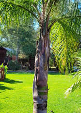 Foto 3 de la galería de Cabañas Pulmahue en Colón