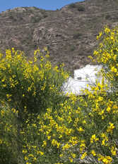 Foto 3 de la galería de Cuatro Vientos en Potrero De Los Funes