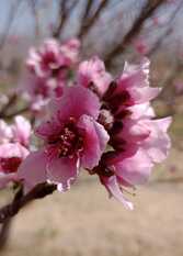 Foto 3 de la galería de Hospedaje Casa de Haydeé en Cachi