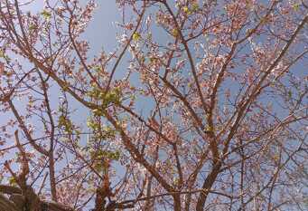 Foto 1 de la galería de Hospedaje Casa de Haydeé en Cachi