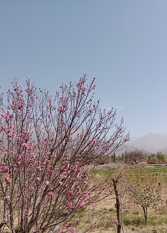 Foto 2 de la galería de Hospedaje Casa de Haydeé en Cachi